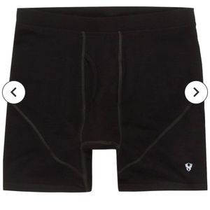 Stoic merino wool boxer briefs. Three pairs included in sale.
